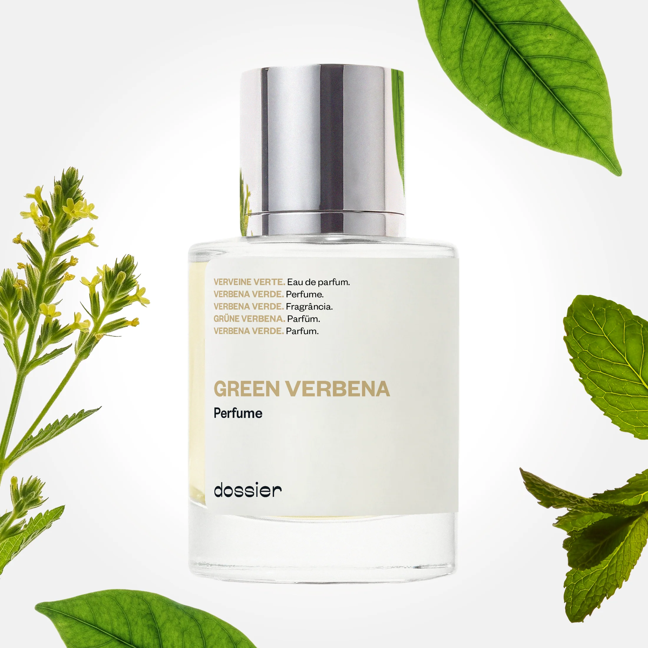 Green Verbena - Image 2