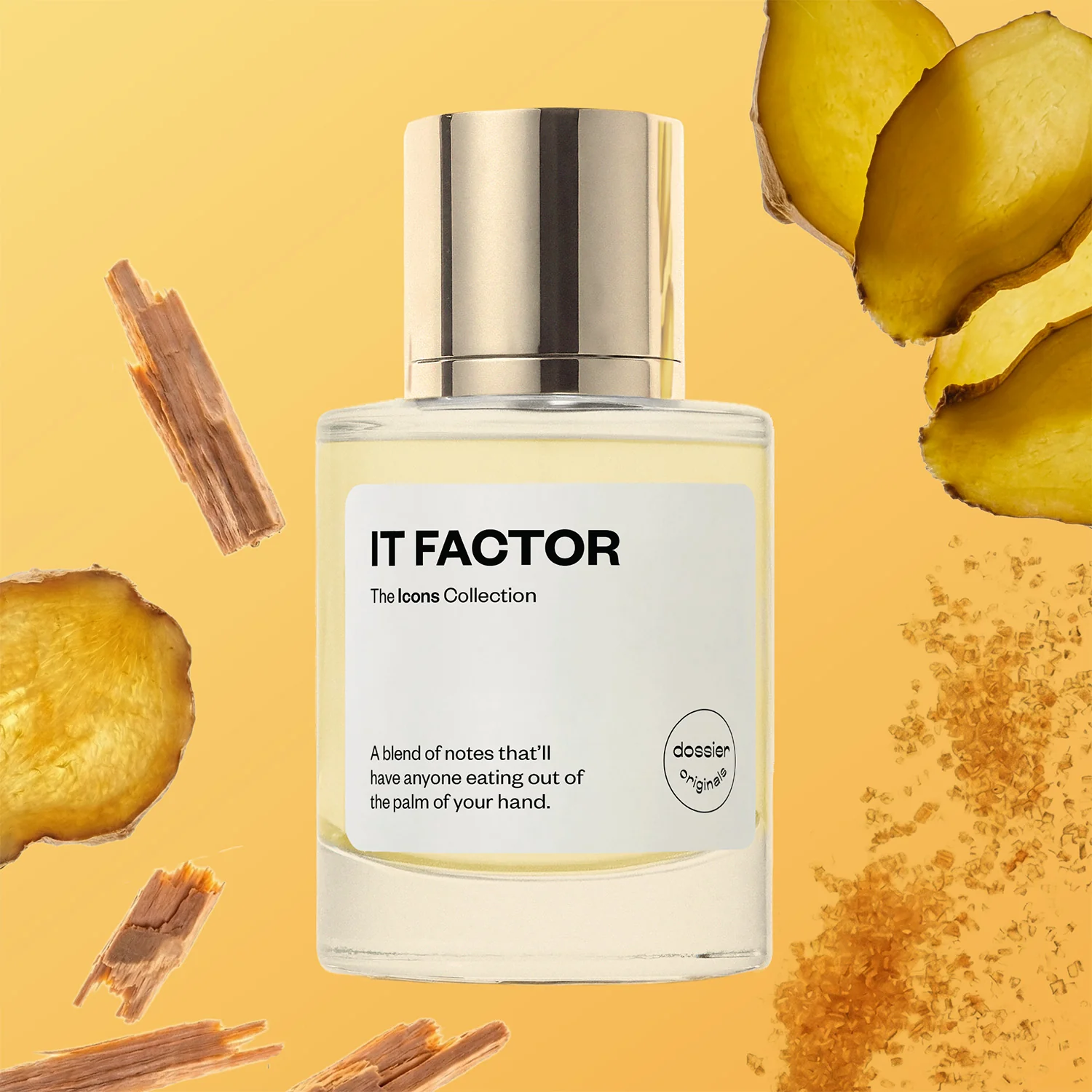 IT Factor - Image 3