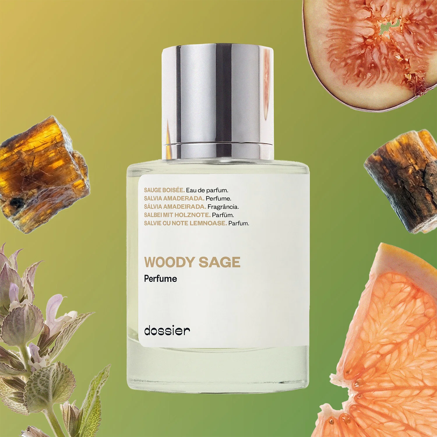 Woody Sage - Image 3